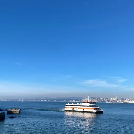 Brandao House Hostel